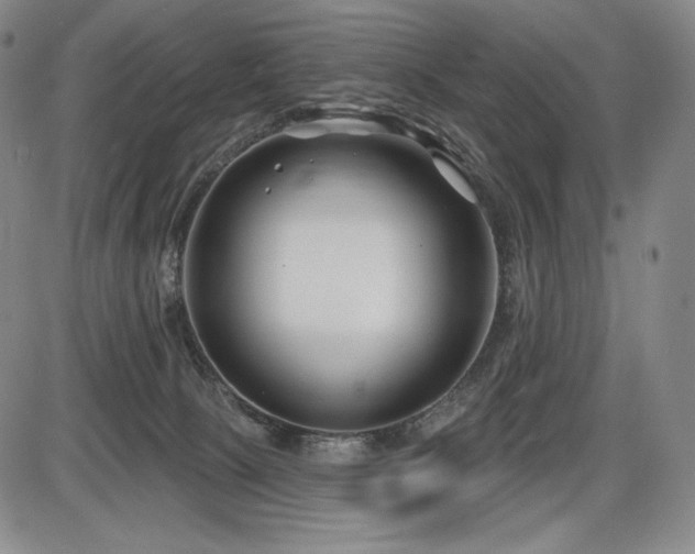 X0000086270081200703291446