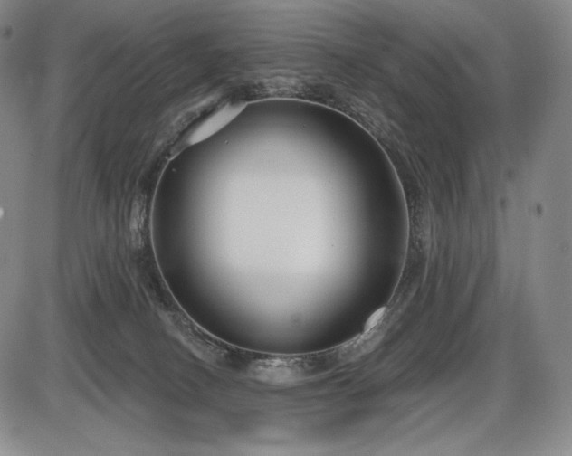 X0000086270082200703291446