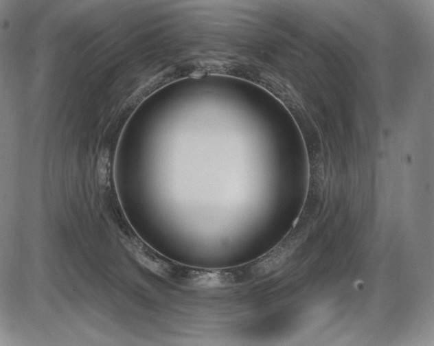 X0000086270083200703291446