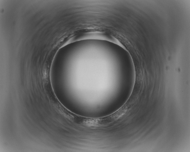 X0000086270084200703291446