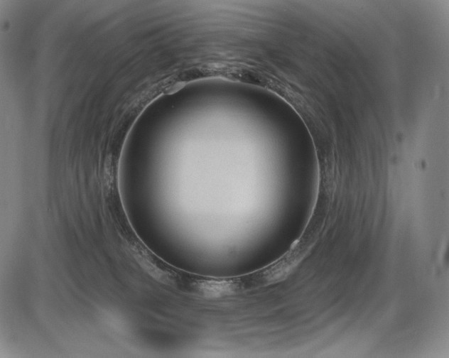 X0000086270085200703291446