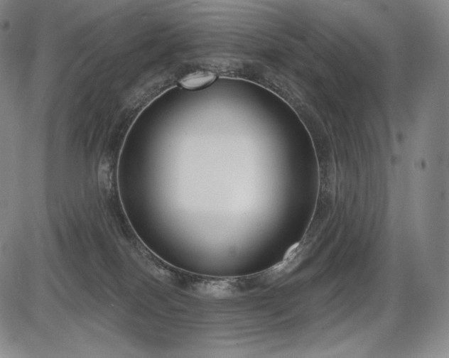 X0000086270086200703291446