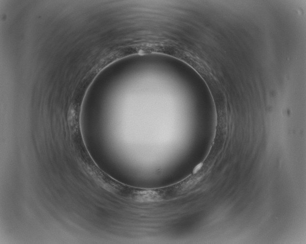 X0000086270087200703291446