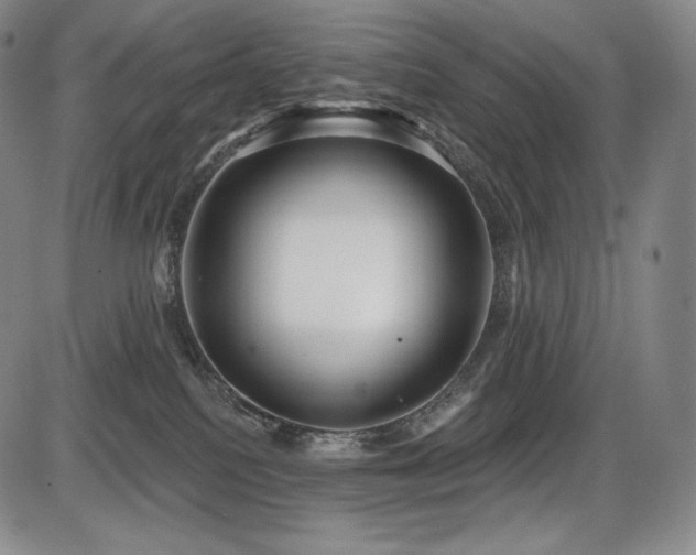 X0000086270088200703291446