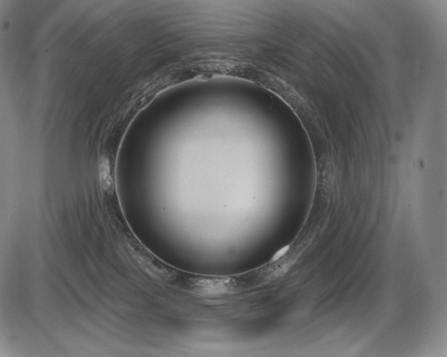 X0000086270089200703291446