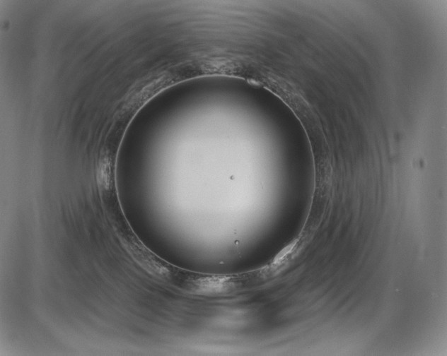 X0000086270090200703291446