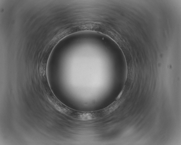 X0000086270091200703291447