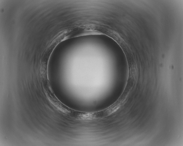 X0000086270092200703291447