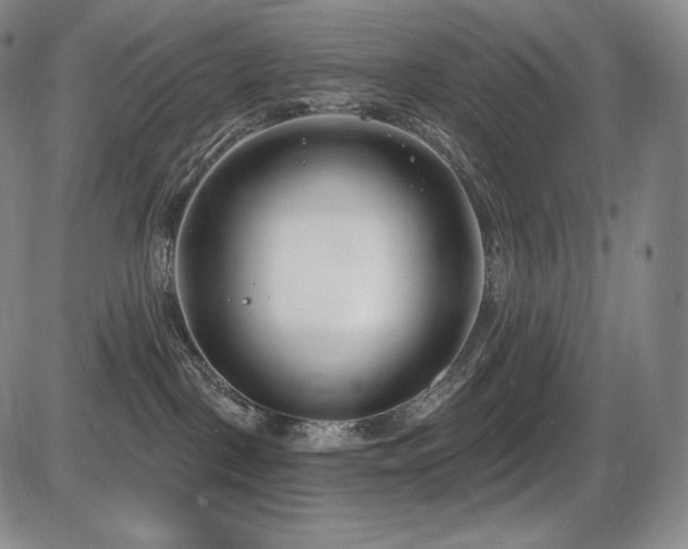 X0000086270093200703291447