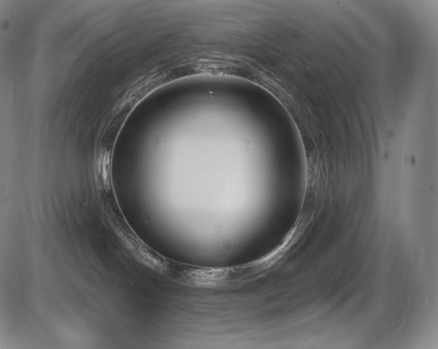 X0000086270094200703291447