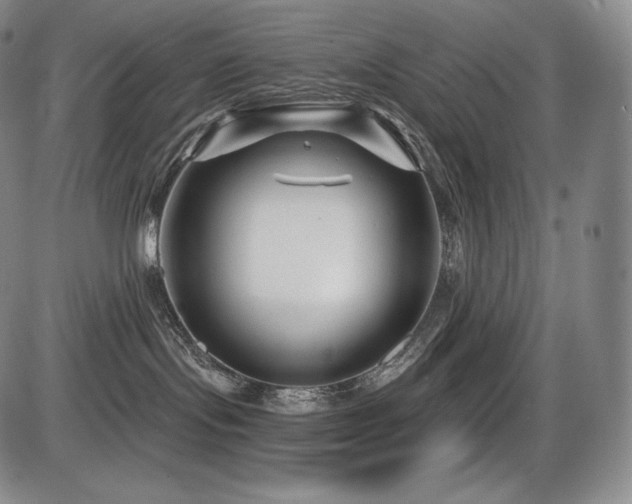 X0000086270095200703291447