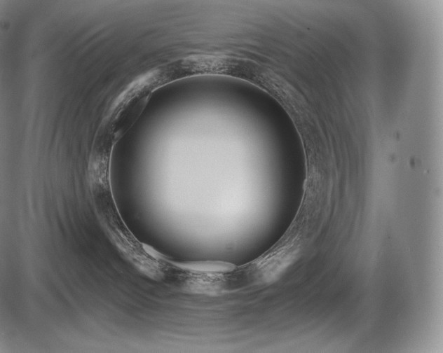 X0000086270096200703291447