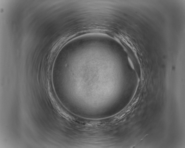 X0000086270097200703291446