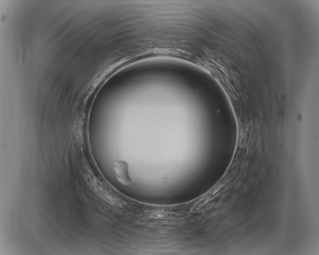 X0000086270098200703291446