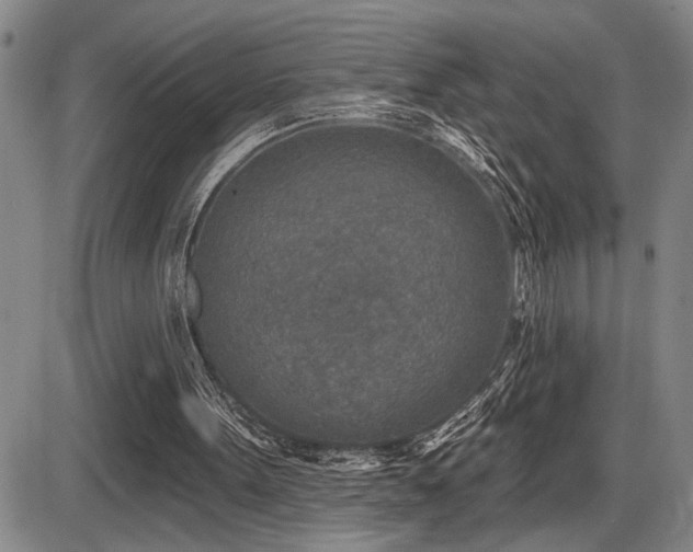 X0000086270099200703291446