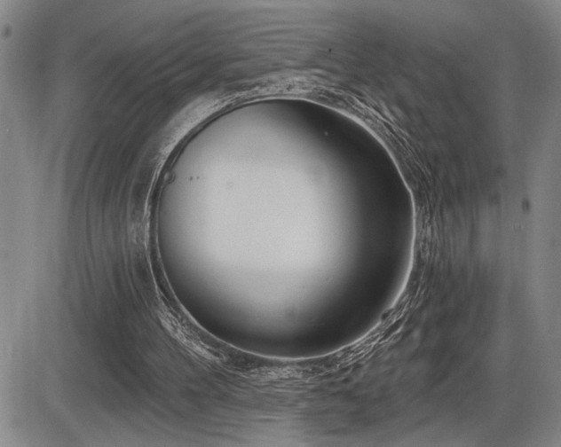 X0000086270100200703291446