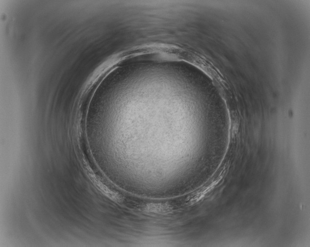 X0000086270101200703291446