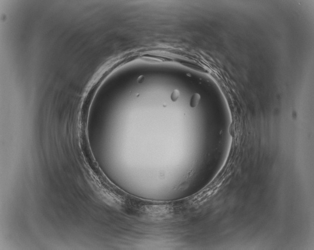 X0000086270102200703291446