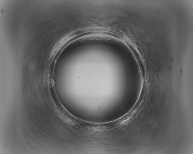 X0000086270103200703291446