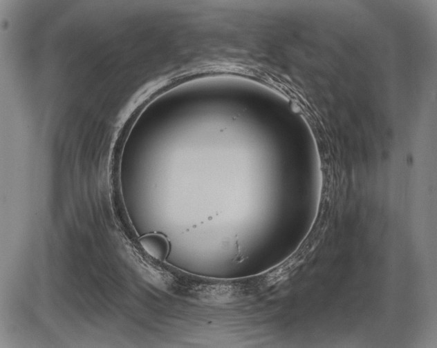 X0000086270104200703291446