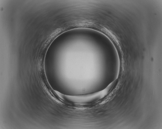 X0000086270105200703291446