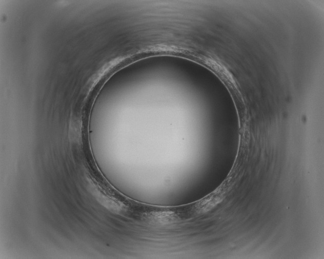 X0000086270108200703291446