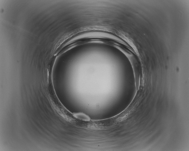 X0000086270109200703291446