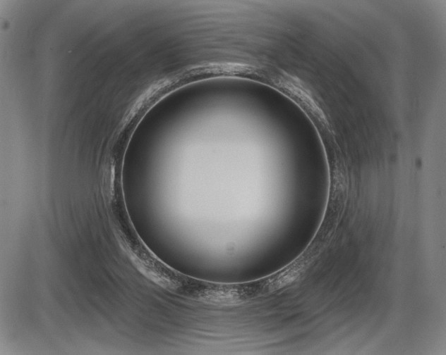 X0000086270110200703291446