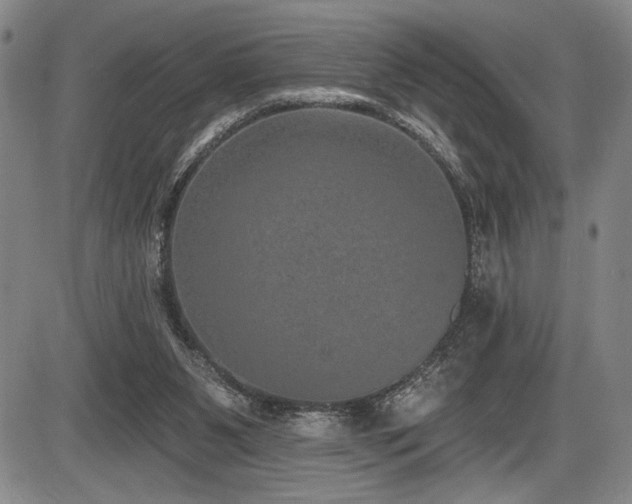 X0000086270111200703291446