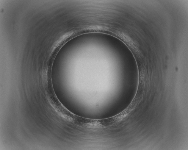 X0000086270112200703291446