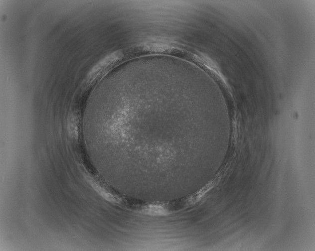 X0000086270114200703291446