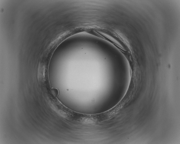 X0000086270115200703291445