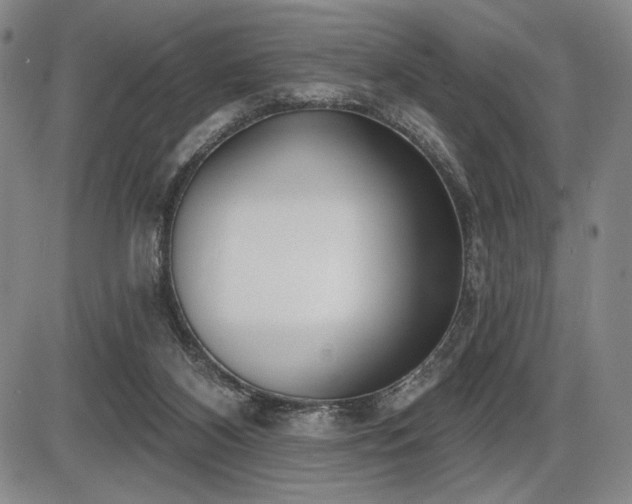 X0000086270116200703291445