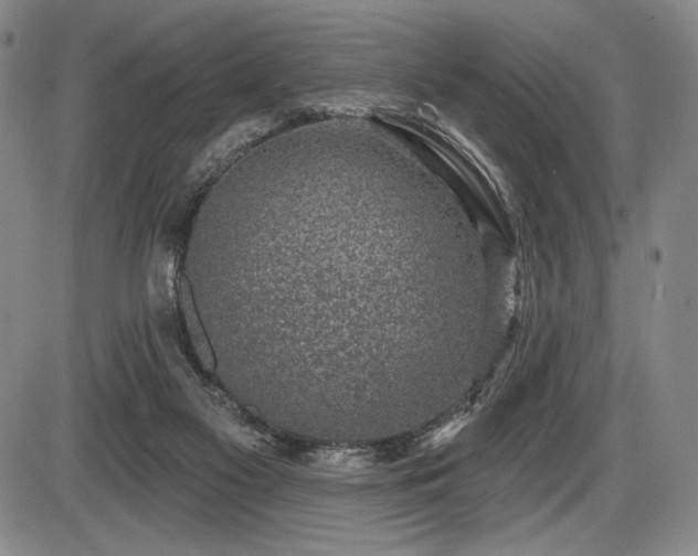 X0000086270117200703291445