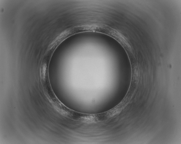 X0000086270118200703291445