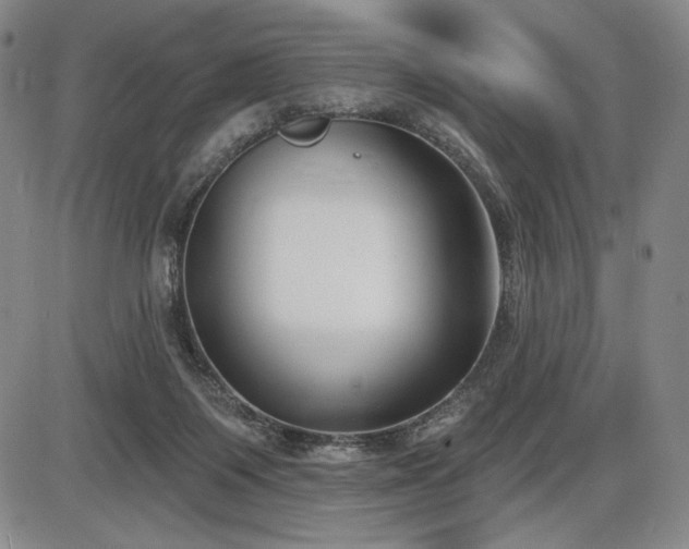 X0000086270119200703291445