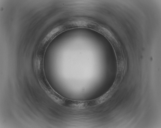 X0000086270120200703291445