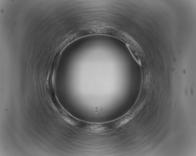 X0000086270121200703291445