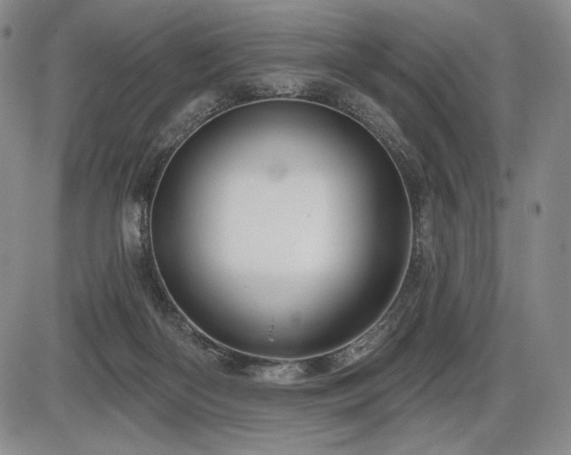 X0000086270122200703291445