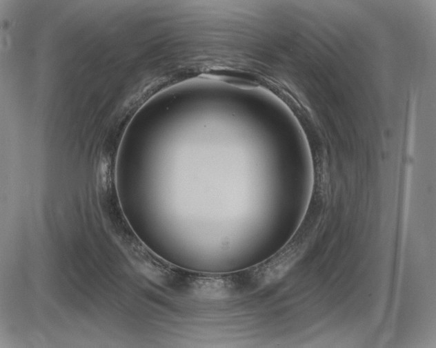 X0000086270123200703291445