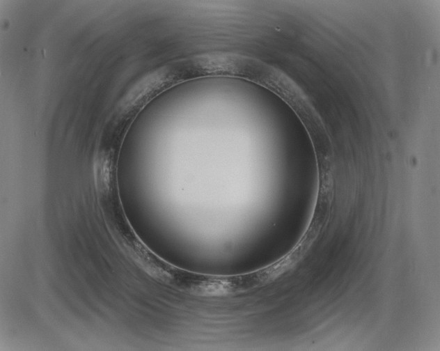 X0000086270124200703291445