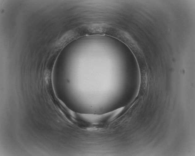 X0000086270125200703291445