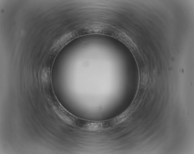 X0000086270126200703291445