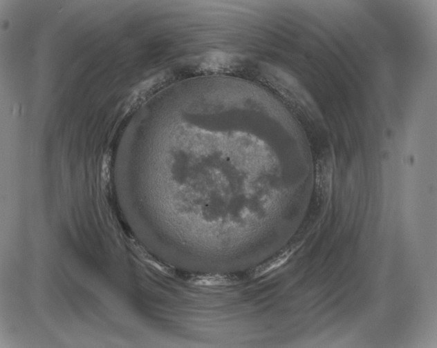 X0000086270127200703291445