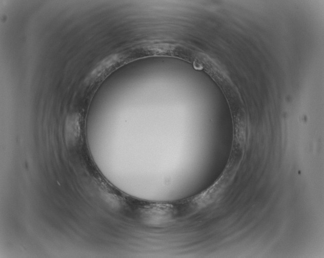 X0000086270128200703291445