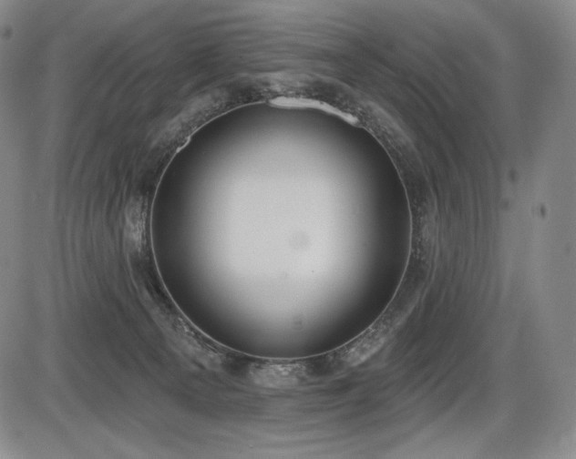 X0000086270129200703291445