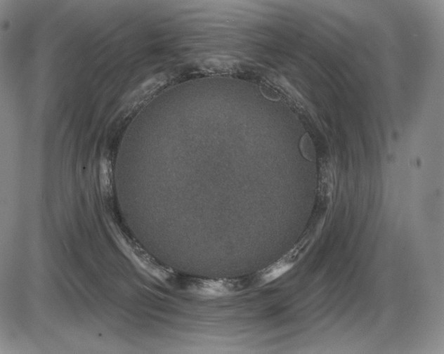 X0000086270130200703291445