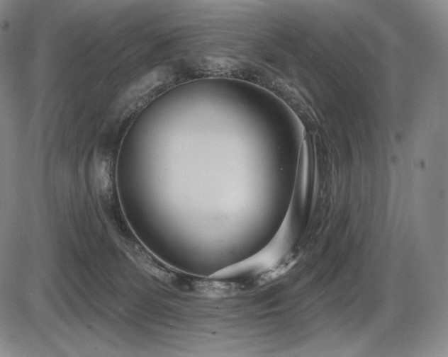 X0000086270131200703291445