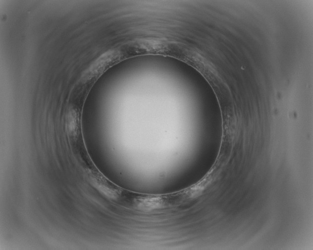 X0000086270132200703291445