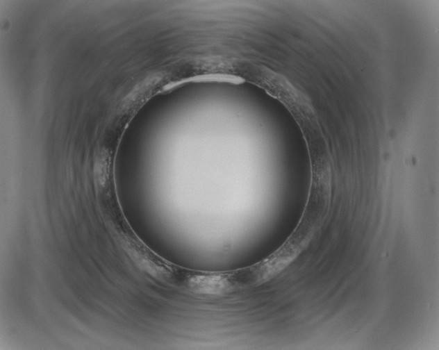 X0000086270133200703291445